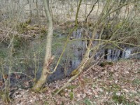 Frühling 2021 - Moor Relohweg